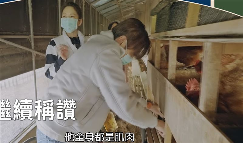 Melody到雞舍體驗撿雞蛋。（圖／翻攝自YouTube）