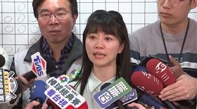 民進黨前立委高嘉瑜回鍋參選內湖、南港市議員（圖／翻攝畫面）
