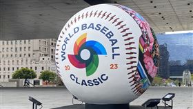 挺中華隊，MLB授權，巨型WBC紀念球，現身台中，1300吋大螢幕直播，應援(圖／翻攝畫面)