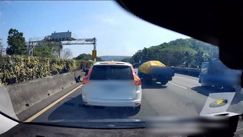 為了救狗，轎車在國道上突然停下。（圖／翻攝自Threads @gto3067878）