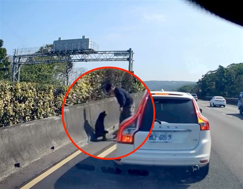 女駕駛突然煞車，後方塞成一長串。（圖／翻攝自Threads @gto3067878）