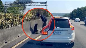 女駕駛國道急煞停下　整排車等她…救狗