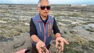 馬崗漁村潮間帶魚苗暴斃　疑遭下藥毒魚