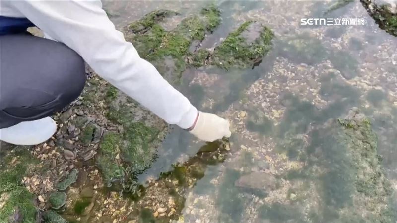 新北市環保局獲報後，到場進行水質採樣