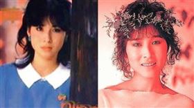 玉女派掌門人林慧萍，用作品證明經典從未退場。（圖／翻攝自FB）