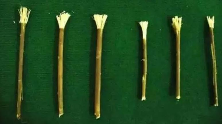 唐朝用「楊柳枝」做牙刷。（圖／翻攝自百度百科）