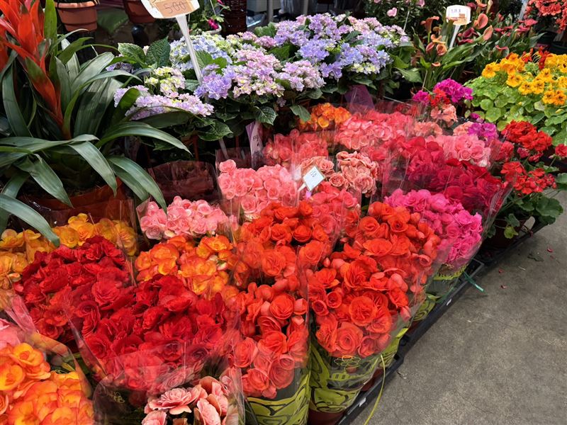 玫瑰花價格估下跌約2成。（圖／台北花市提供）