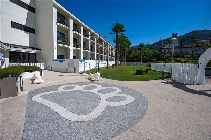 北部飯店首創！桃園大溪笠復威斯汀度假酒店打造「威斯汀毛孩樂園」，提供毛孩專屬的戶外空間。（圖／飯店旅宿業者提供）