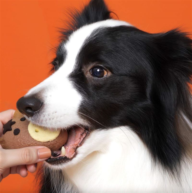 敘日全日餐廳推出農曆馬年限定毛孩年菜，以手作小馬造型點心搭配雞肉腸內餡，造型討喜、用料實在，為毛孩獻上寓意滿滿的新年美味。（圖／飯店旅宿業者提供）