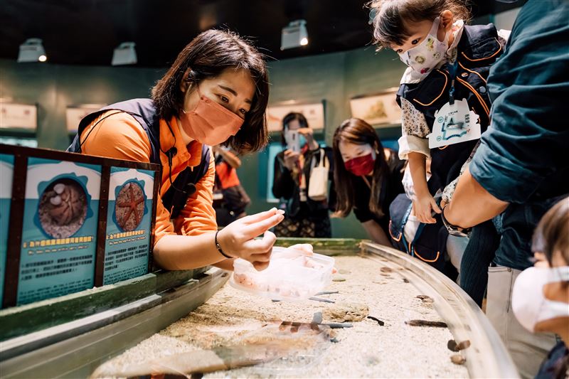 觸摸池認識潮間帶生物。（圖／屏東海生館提供）
