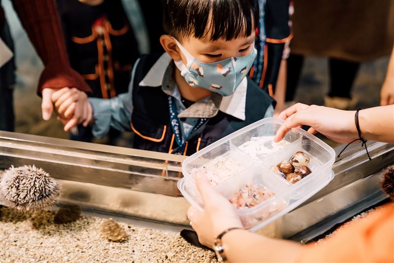 觸摸池介紹生物餌料。（圖／屏東海生館提供）