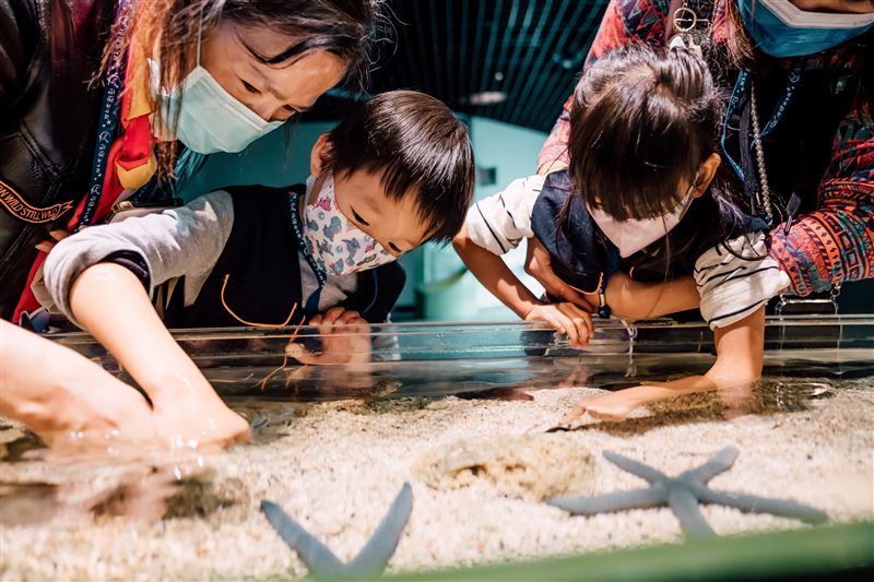 實際體驗觸摸潮間帶生物。（圖／屏東海生館提供）