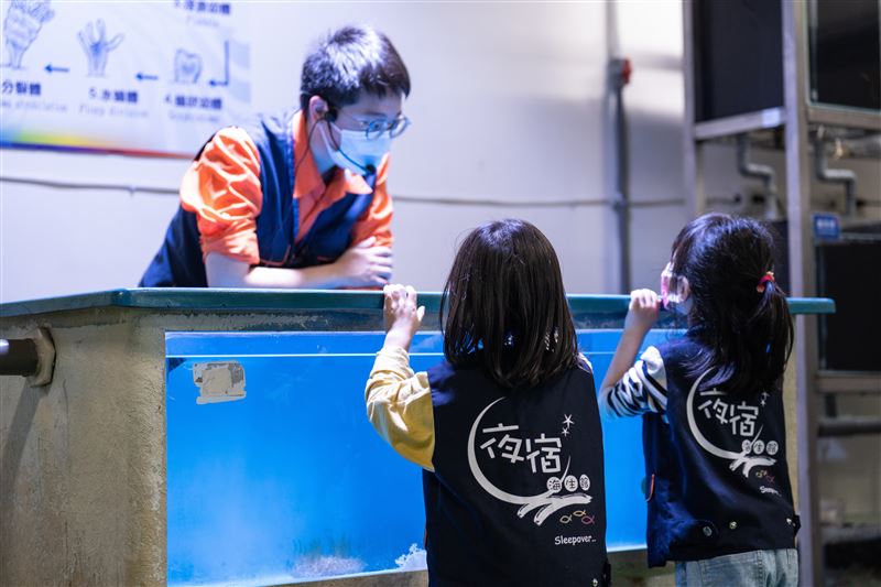 後場行程-觀察水母。（圖／屏東海生館提供）