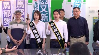 綠營北市誰當母雞？段宜康：大家要有耐心