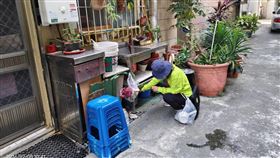 登革熱,高雄市,通報,衛生局,台商(圖／高雄衛生提供)