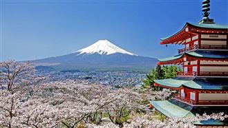 受夠遊客亂拉屎　富士山下最美櫻花祭停辦
