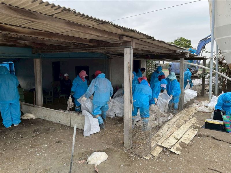 防疫人員穿著防護衣清理鵝場。（圖／取自雲林縣官網）
