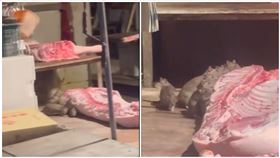 米奇,老鼠,屏東,攤位,豬肉,衛生局（圖／翻攝自Threads @tomie_81）