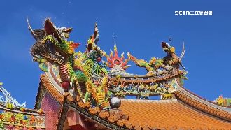 媽祖認證風水寶地！喜鵲飛廟築5鳥巢