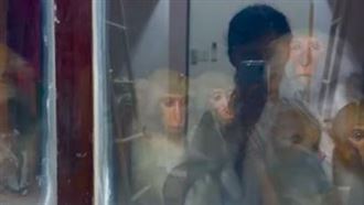 回宿舍見「6張毛臉貼窗凝視」女大生嚇呆