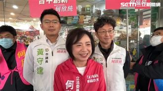 何欣純「為這事」轟盧秀燕：錯誤、荒謬