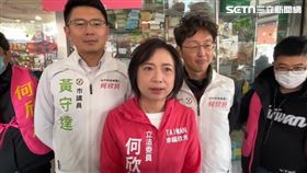 何欣純受訪直言國民黨台中市長初選的「姊弟之爭」都是在做個人的利益算計，這種政治算計不是市民之福。（圖／翻攝畫面）