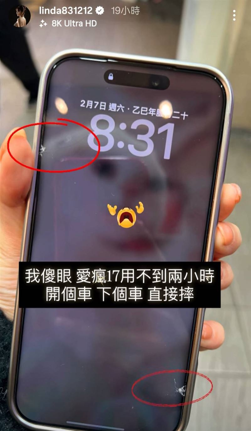 琳妲不到兩小時就摔傷手機。（圖／翻攝自IG）