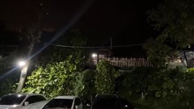 台北,北投,溫泉湯屋,命案,行義路。（圖／翻攝畫面）