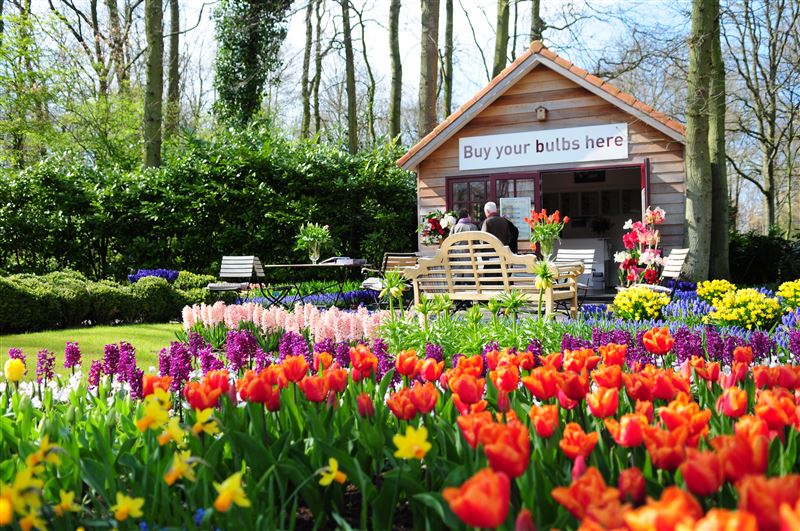 荷蘭庫肯霍夫花園鬱金香。（圖／旅天下提供）