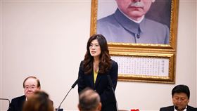 國民黨主席鄭麗文。（圖／翻攝自鄭麗文臉書）