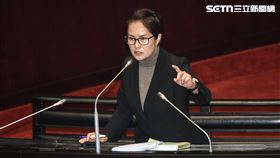 親民黨立委高金素梅質詢。 圖／記者林敬旻攝
