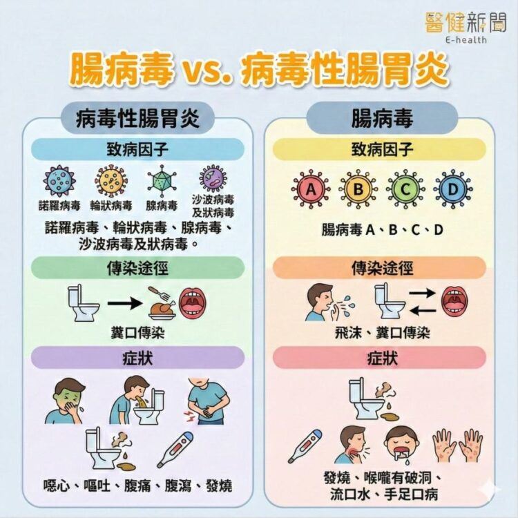 腸胃炎&ne;腸病毒！兩者怎區分？醫提3大重點，預防與飲食調理一次看清楚。（圖／醫健新聞網提供）