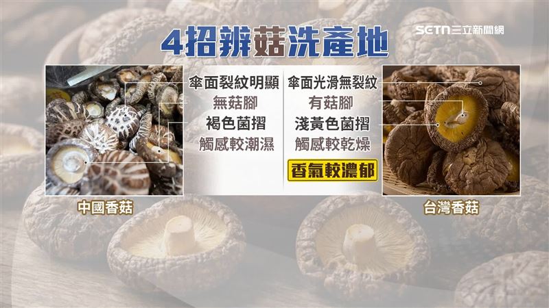 業者教4招辨識香菇洗產地