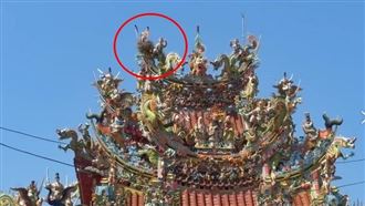 獨家／臺灣好事來了！喜鵲築巢拱天宮廟頂