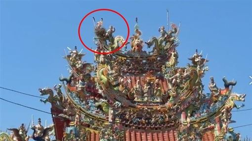 獨家／臺灣好事來了！喜鵲築巢拱天宮廟頂