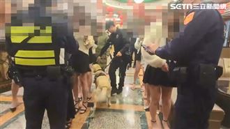 酒店妹排排站！警犬穿梭「美腿林」狂聞