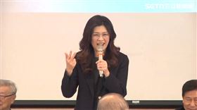鄭麗文出席國家政策研究基金會2026座談會。（圖／翻攝畫面）