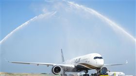 星宇航空A350-1000首航東京。（圖／星宇航空提供） 