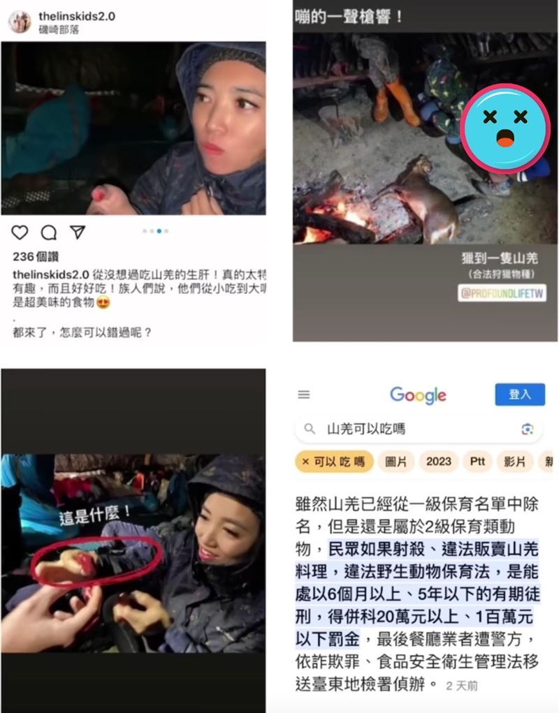 7寶媽林叨囝仔被挖曾生吃山羌。（圖／翻攝自林叨囝仔The Lins'Kids臉書）