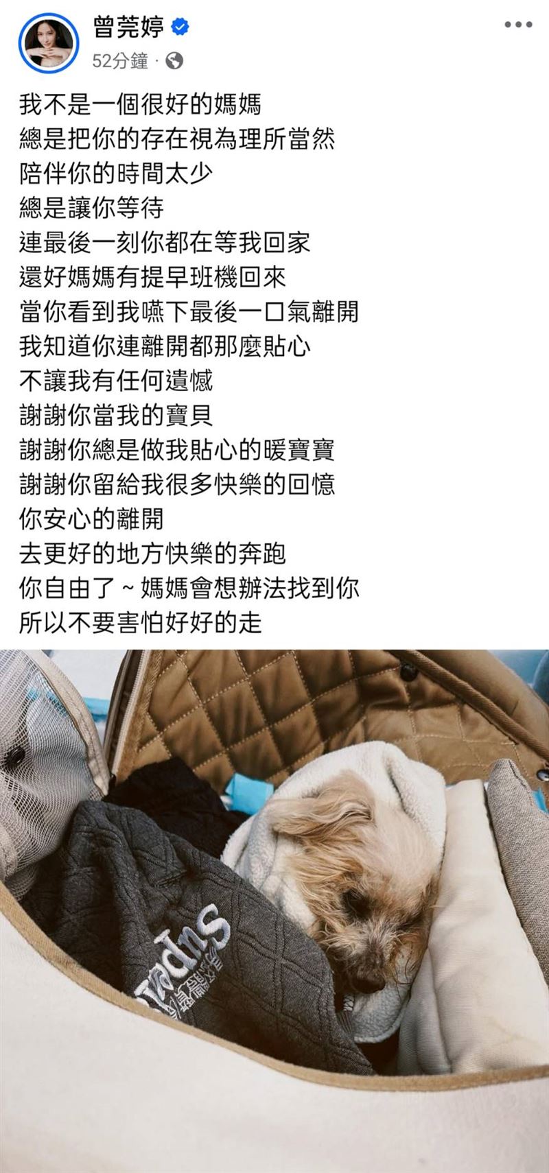 曾莞婷送別愛犬。（圖／翻攝自臉書）