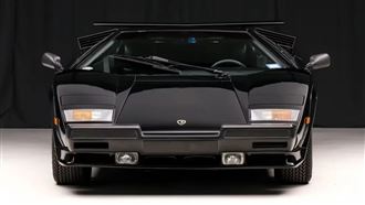 比黃金更穩的硬通貨　這頭老黑牛值2250萬