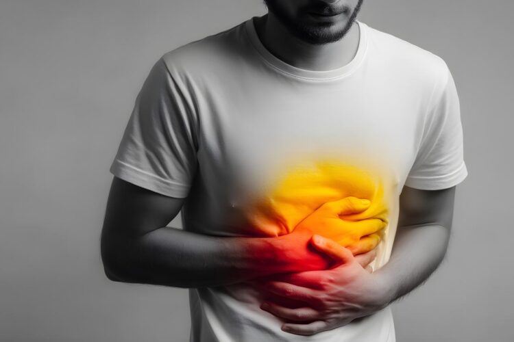 憂大魚大肉會火燒心？把握關鍵「3原則」，醫師傳授年節這樣「安心」吃。（圖／醫健新聞網提供）