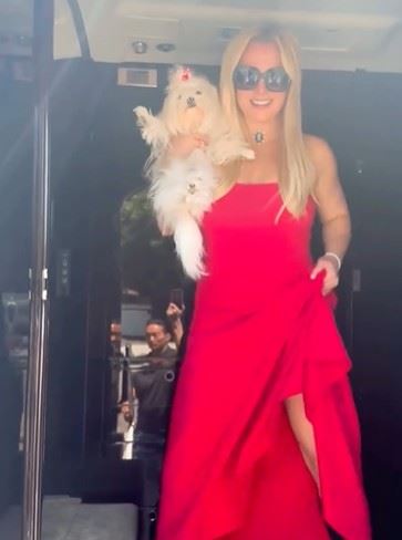 44歲的布蘭妮已將個人音樂作品相關權利售出，交易金額約為2億美元，折合新台幣約63億元。（圖／翻攝自布蘭妮IG）