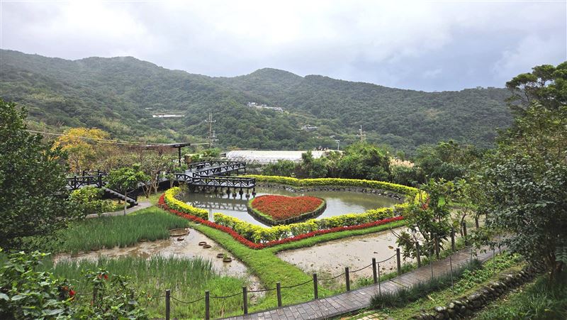 農曆新年採莓趣!內湖白石湖草莓季開跑