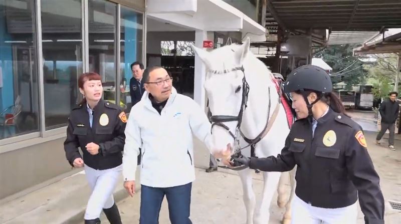 侯友宜與馬匹互動。（圖／新北市政府提供）