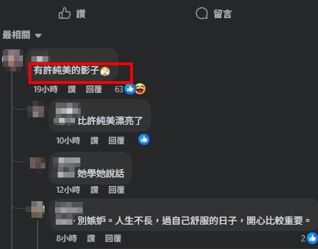 有網友留言：「有許純美的影子」，也有許多網友稱讚胡文英是真的美魔女。（圖／翻攝自胡文英FB）