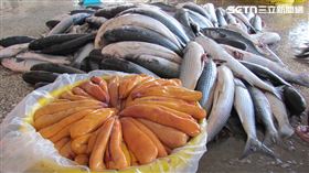 台灣近年來因為洄游烏魚數量大幅降低，進口烏魚卵取代成為曬製烏魚子的主要材料來源。（圖／記者王乙徹攝影）