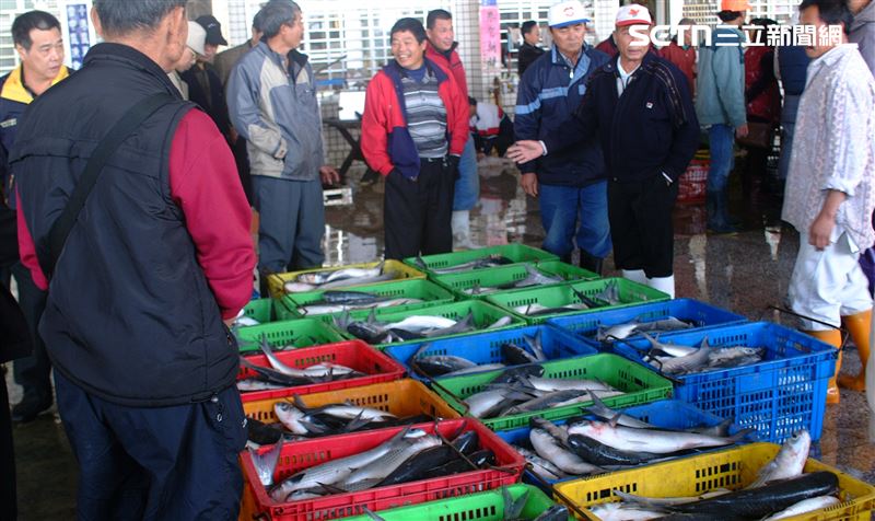 專家建議管制烏魚捕撈與改變養殖魚苗，才可能減緩進口魚卵對台灣產業的衝擊。（圖／記者王乙徹攝影）