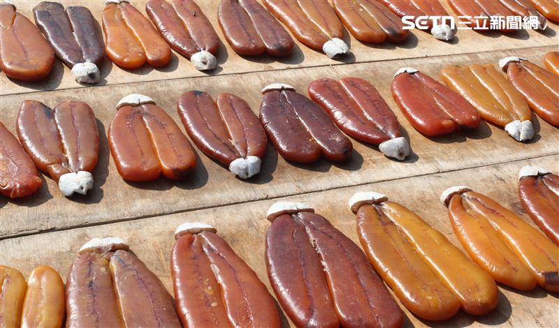 顏色深淺不一是台灣野生捕撈烏魚子的特徵，整批曬製時最明顯。（圖／記者王乙徹攝影）