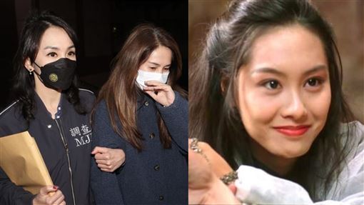 「紫霞仙子」移送高金！女調查官超狂背景